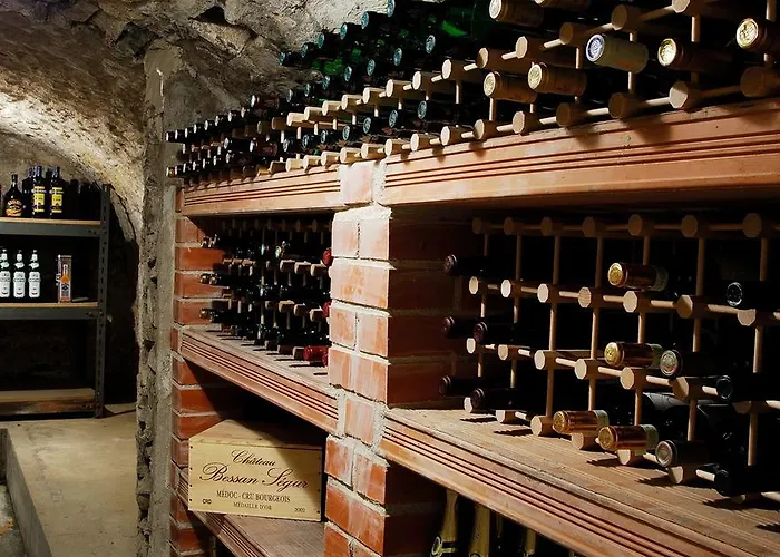 普鲁洪尼斯公园酒店 3* 普鲁奥尼斯